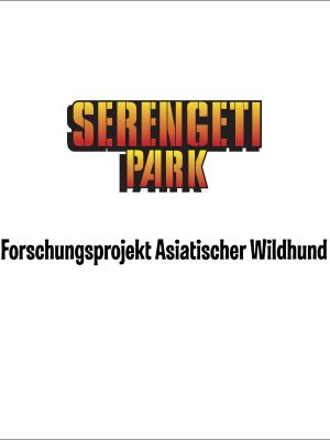 Forschungsprojekt Asiatischer Windhund