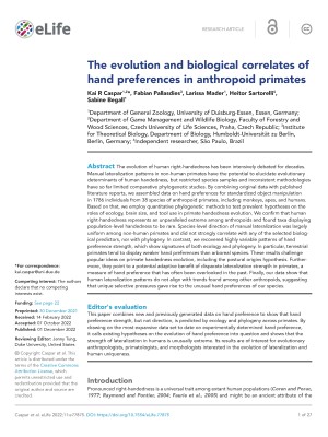 The-evolution-and-biological-correlates-of-hand-preferences-in-anthropoid-primates